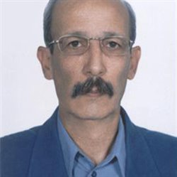 محمد رضا گرگین زاده 