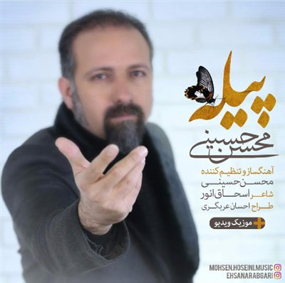 پیله - محسن حسینی