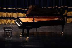 گزارش تصویری از رسیتال پیانوی «گوتلیب والیش» در تهران